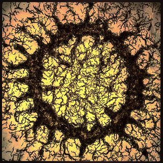 Illustration for article titled These Science Photos Are So Beautiful They're Basically Art